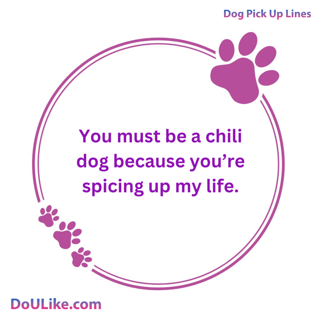 You must be a chili dog