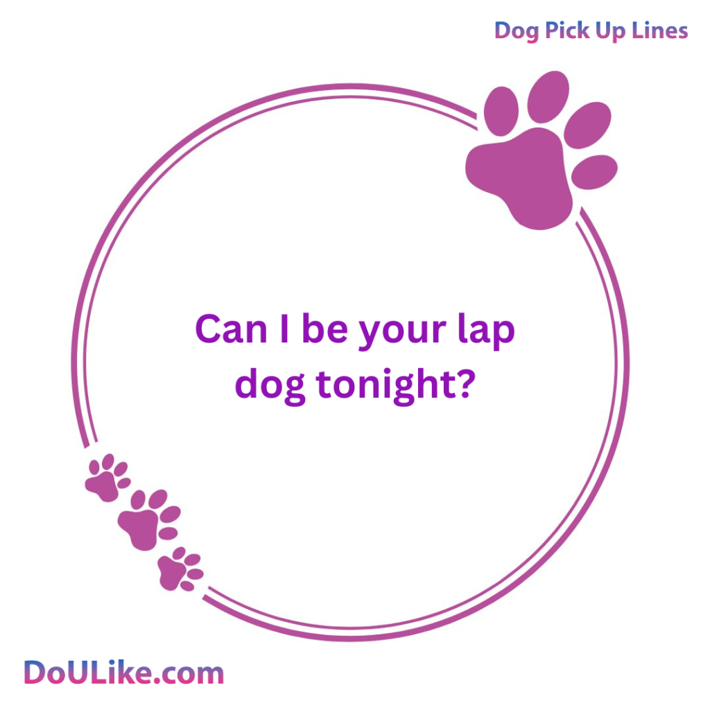 Can I be your lap dog tonight?
