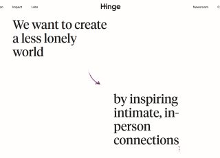 Hinge Reviews